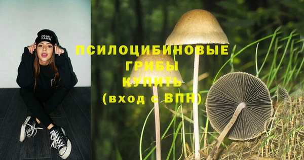 стаф Балахна