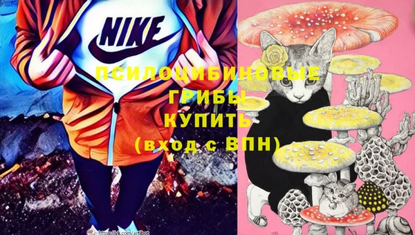 стаф Баксан